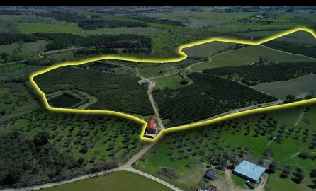 Quinta T3 para Venda em Alpedrinha