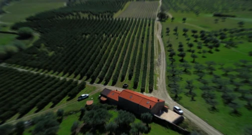 Quinta T3 para Venda em Alpedrinha