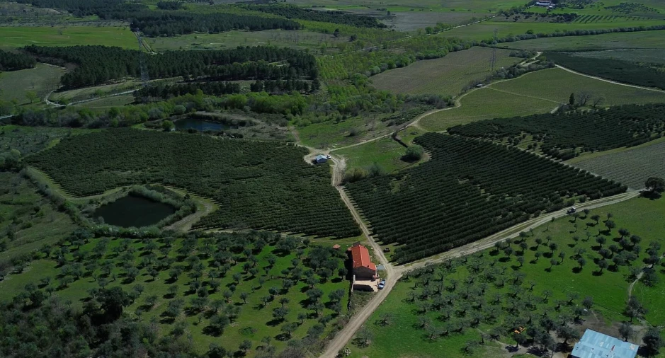 Quinta T3 para Venda em Alpedrinha Foto 4