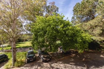 Apartamento T1 para Venda em Massamá e Monte Abraão