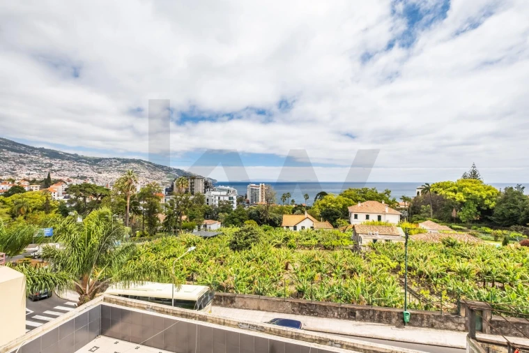 Apartamento T1 para Venda em São Martinho Foto 18