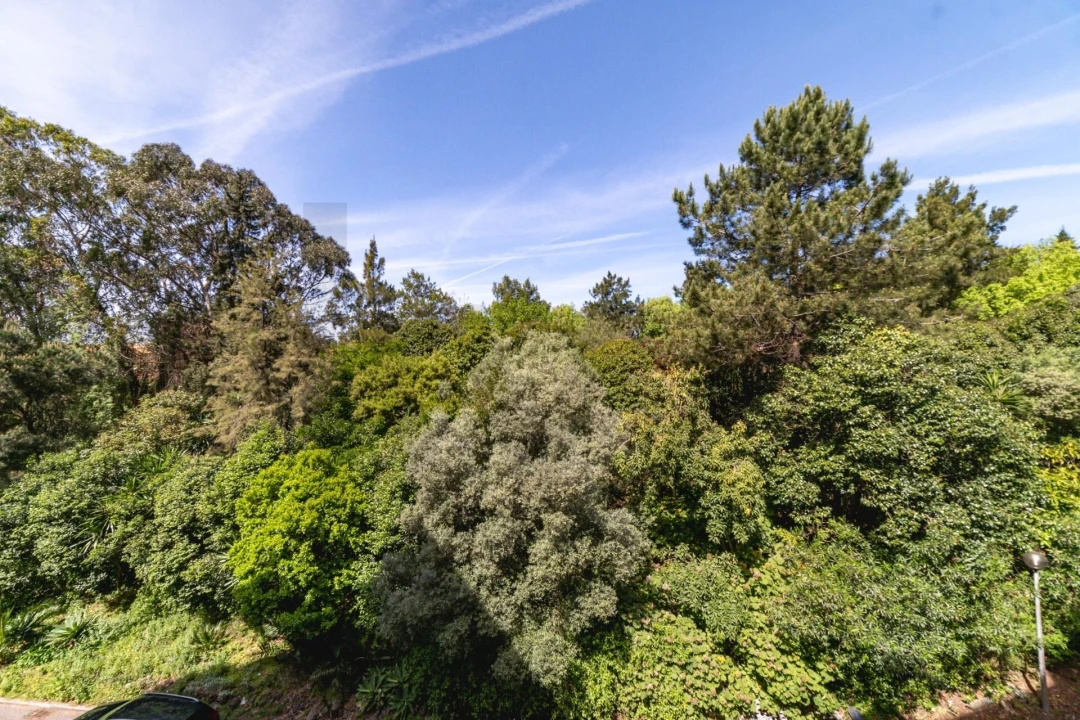 Apartamento T2 para Venda em Massamá e Monte Abraão Foto 18