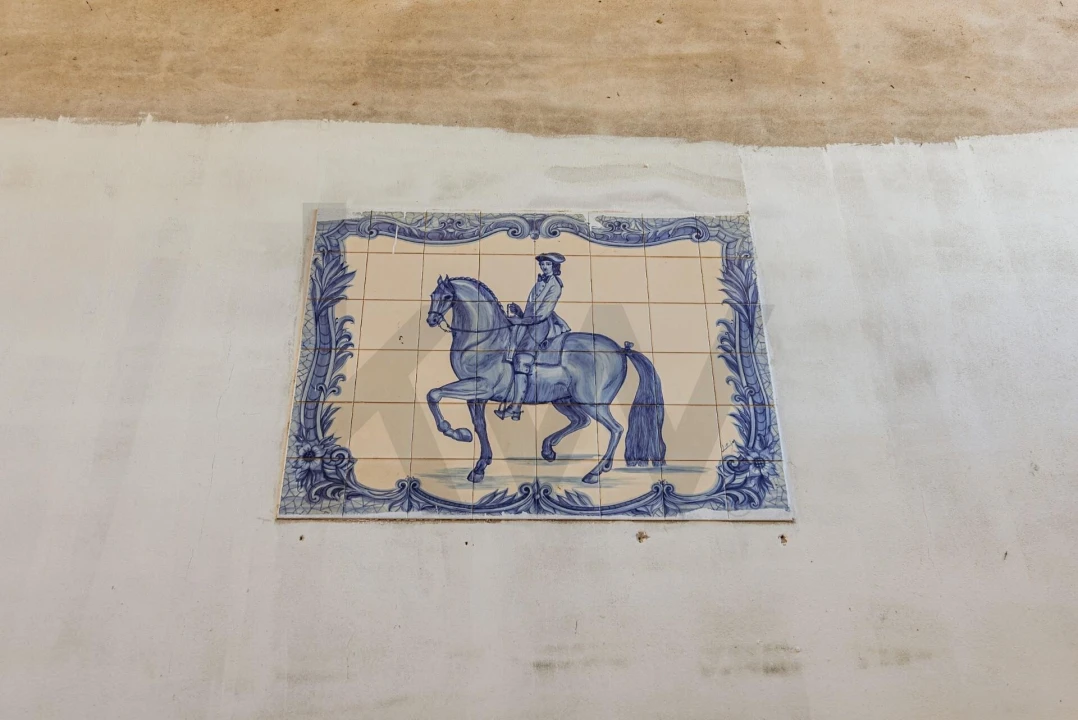 Quinta T3 para Venda em Viana do Alentejo Foto 181