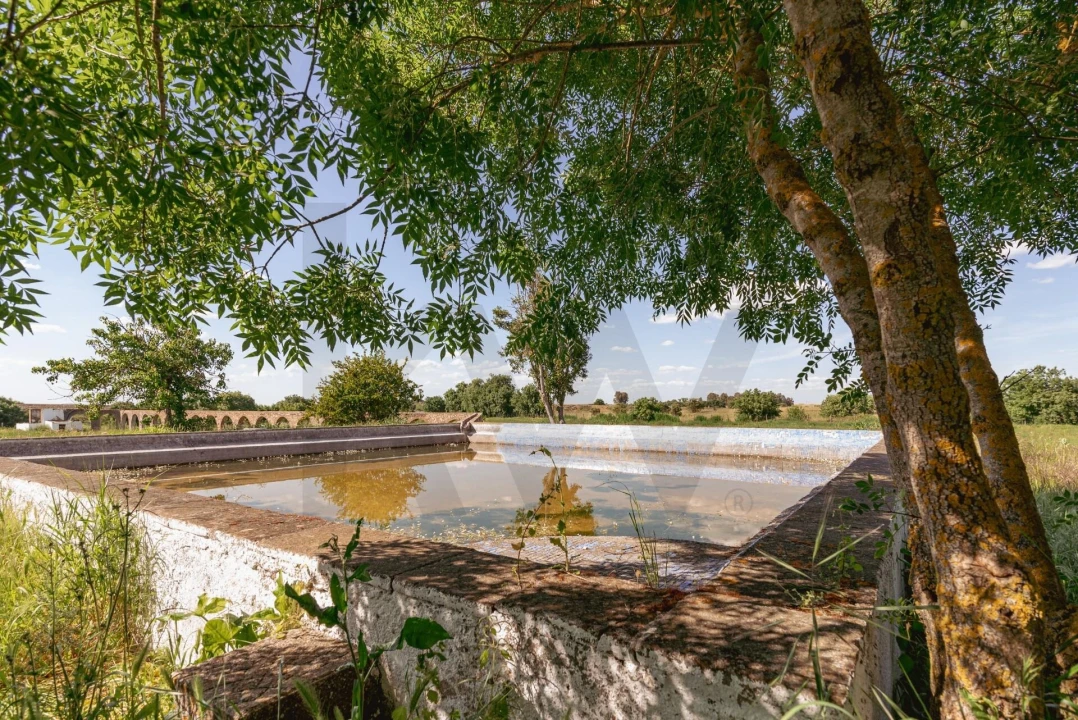 Quinta T3 para Venda em Viana do Alentejo Foto 101