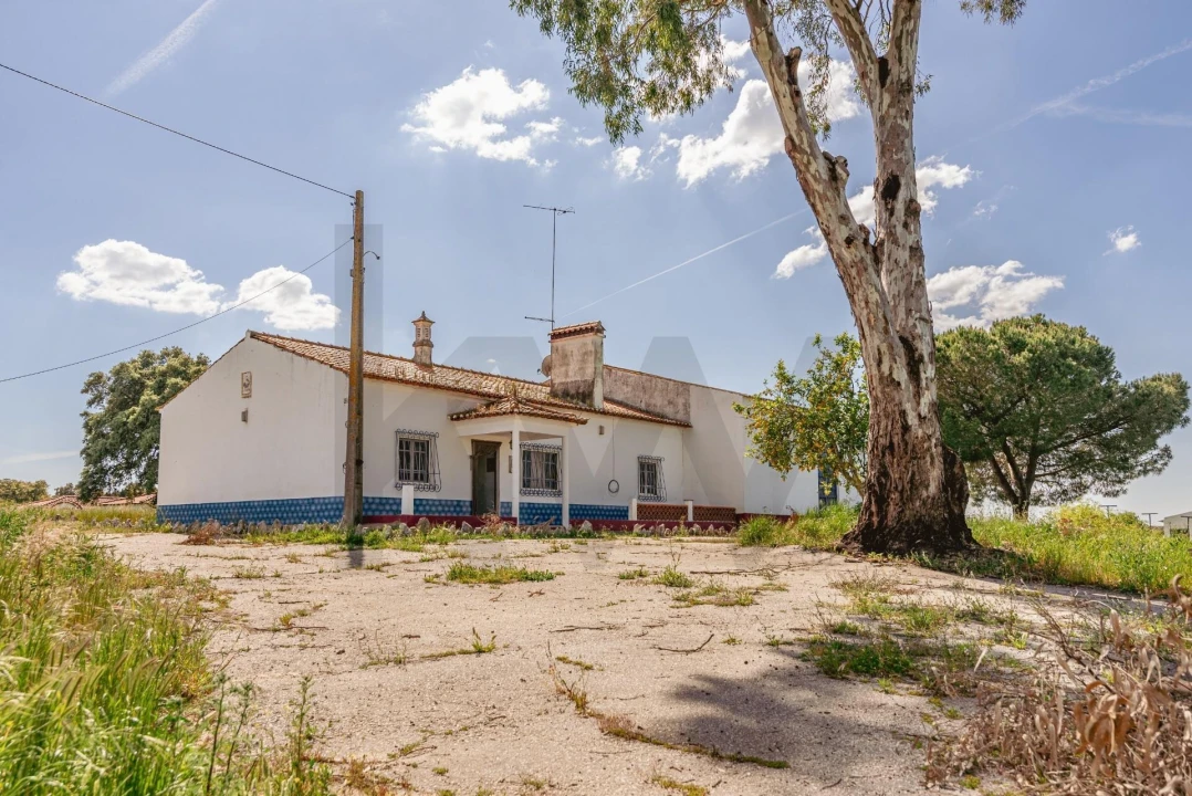 Quinta T3 para Venda em Viana do Alentejo Foto 3