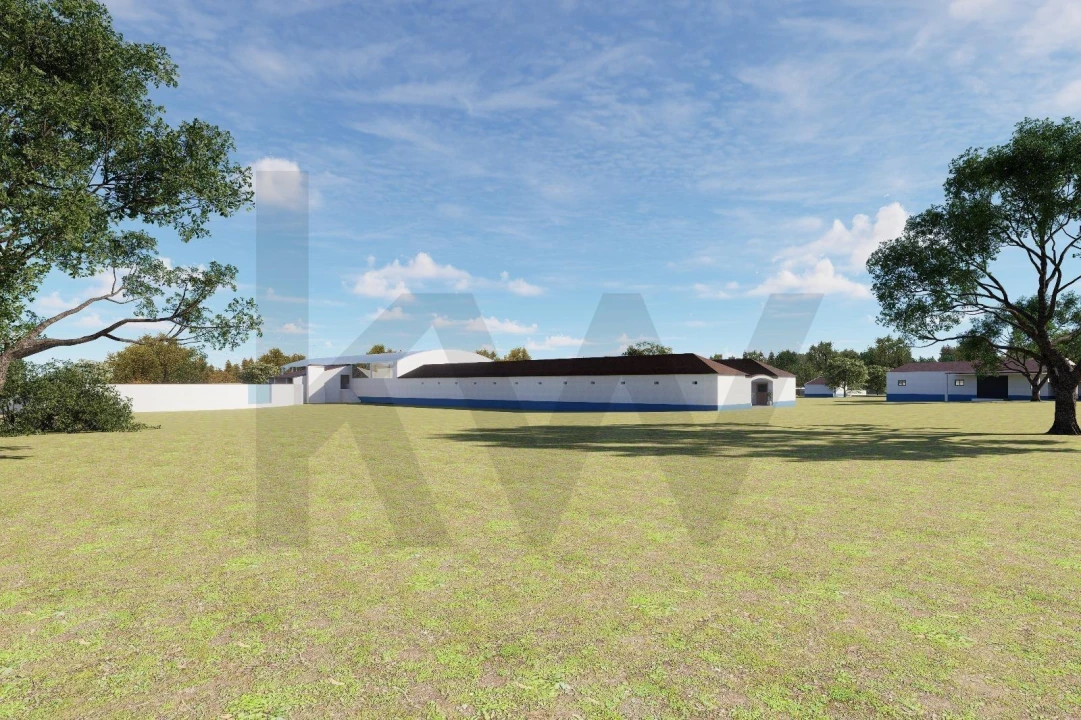 Quinta T3 para Venda em Viana do Alentejo Foto 51