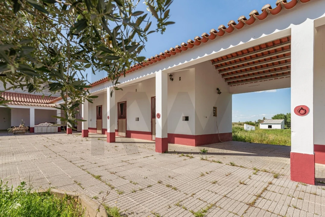 Quinta T3 para Venda em Viana do Alentejo Foto 173