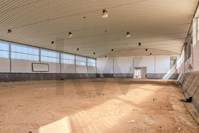 Quinta T3 para Venda em Viana do Alentejo