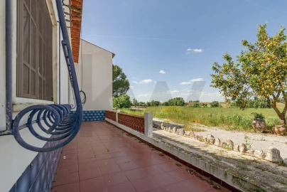 Quinta T3 para Venda em Viana do Alentejo
