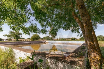 Quinta T3 para Venda em Viana do Alentejo