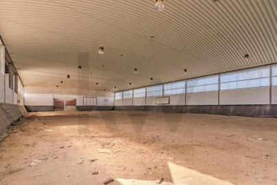 Quinta T3 para Venda em Viana do Alentejo