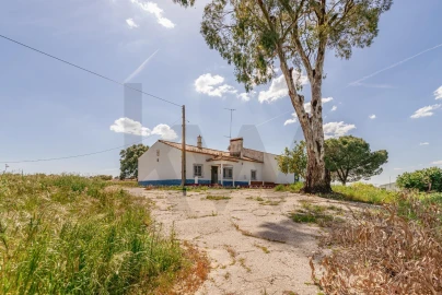 Quinta T3 para Venda em Viana do Alentejo