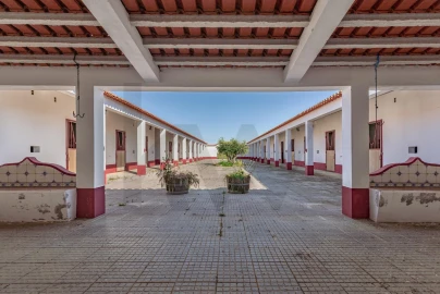 Quinta T3 para Venda em Viana do Alentejo