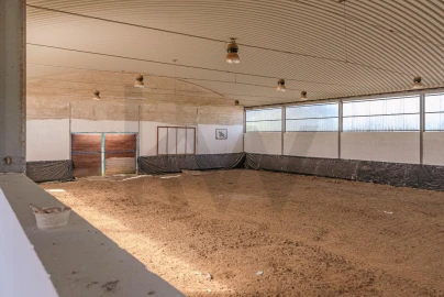 Quinta T3 para Venda em Viana do Alentejo