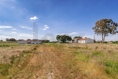 Quinta T3 para Venda em Viana do Alentejo