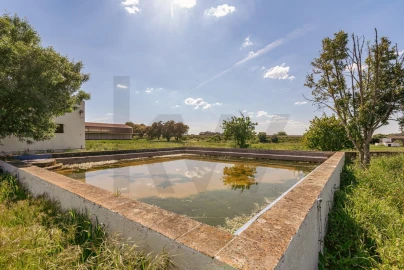 Quinta T3 para Venda em Viana do Alentejo