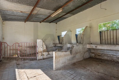 Quinta T3 para Venda em Viana do Alentejo