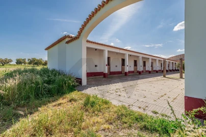 Quinta T3 para Venda em Viana do Alentejo