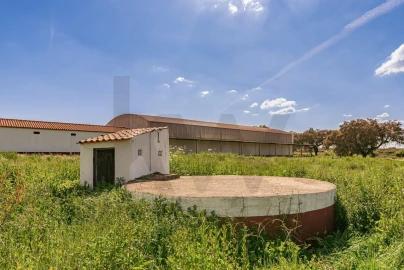 Quinta T3 para Venda em Viana do Alentejo