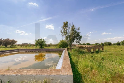 Quinta T3 para Venda em Viana do Alentejo