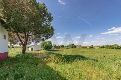Quinta T3 para Venda em Viana do Alentejo