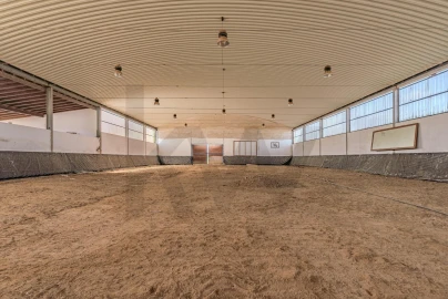 Quinta T3 para Venda em Viana do Alentejo