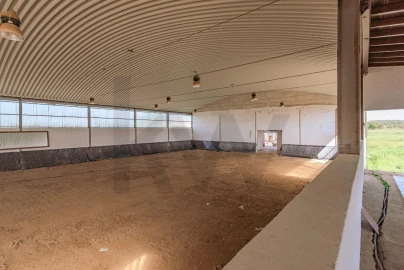 Quinta T3 para Venda em Viana do Alentejo