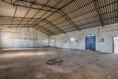 Quinta T3 para Venda em Viana do Alentejo