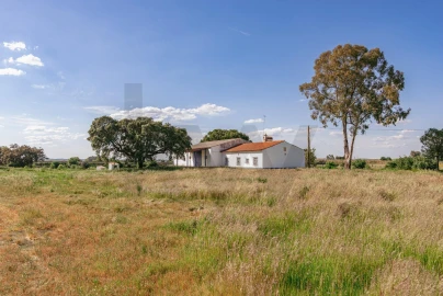 Quinta T3 para Venda em Viana do Alentejo