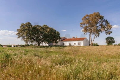 Quinta T3 para Venda em Viana do Alentejo