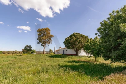 Quinta T3 para Venda em Viana do Alentejo