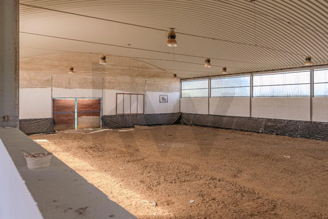 Quinta T3 para Venda em Viana do Alentejo Foto 182