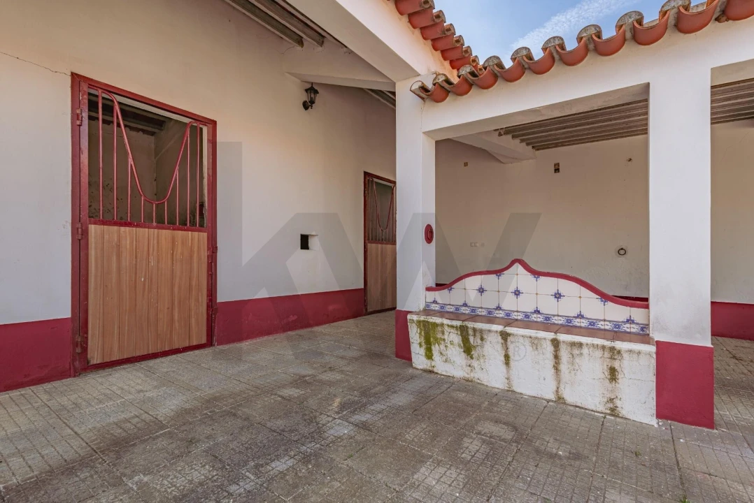 Quinta T3 para Venda em Viana do Alentejo Foto 83