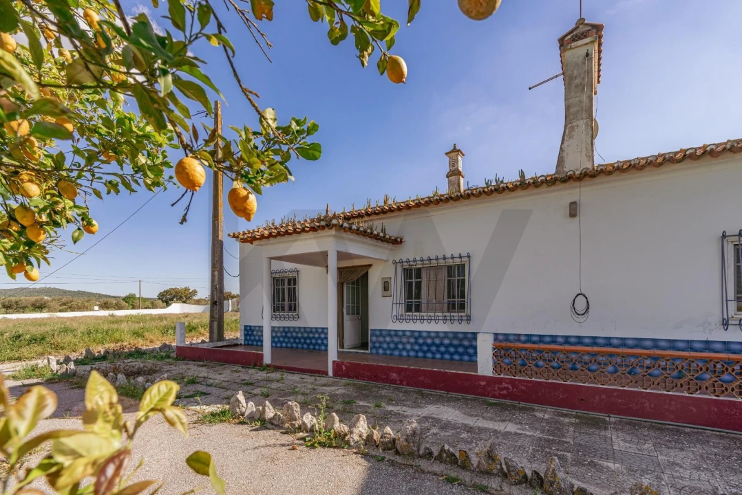 Quinta T3 para Venda em Viana do Alentejo Foto 7