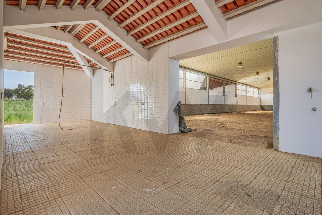 Quinta T3 para Venda em Viana do Alentejo Foto 176