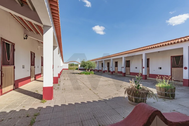 Quinta T3 para Venda em Viana do Alentejo Foto 5