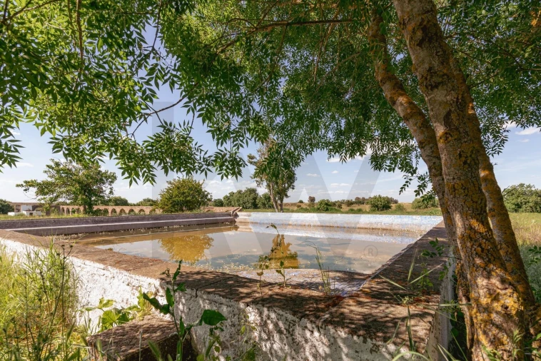 Quinta T3 para Venda em Viana do Alentejo Foto 101