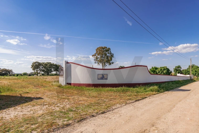 Quinta T3 para Venda em Viana do Alentejo Foto 61