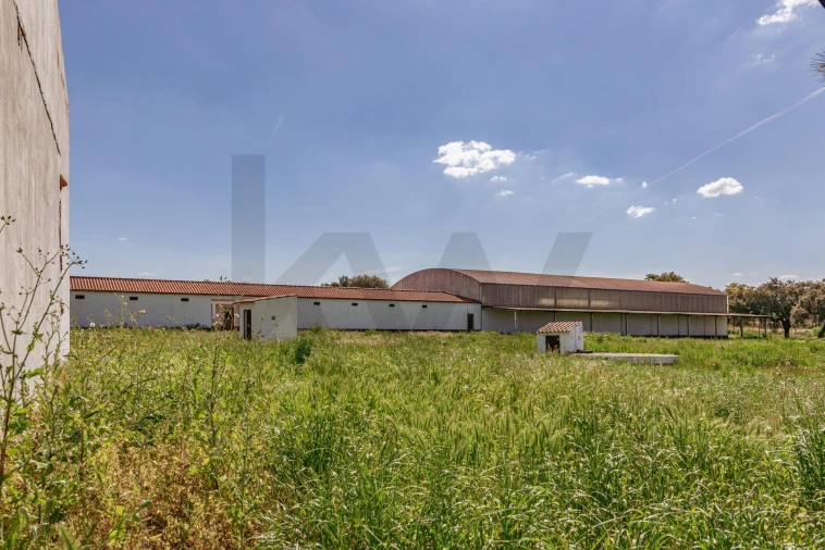 Quinta T3 para Venda em Viana do Alentejo Foto 161