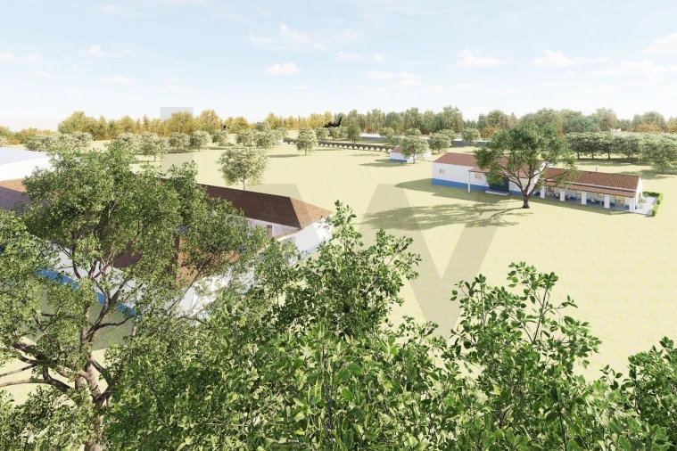 Quinta T3 para Venda em Viana do Alentejo Foto 48