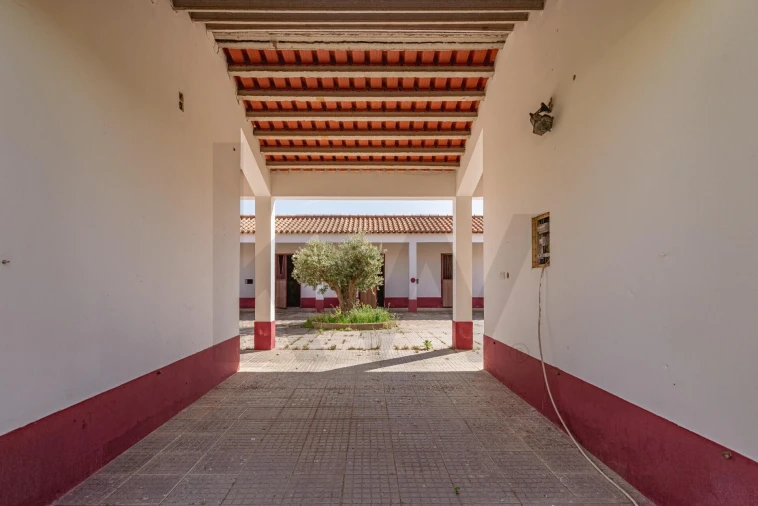 Quinta T3 para Venda em Viana do Alentejo Foto 88