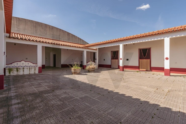 Quinta T3 para Venda em Viana do Alentejo Foto 84