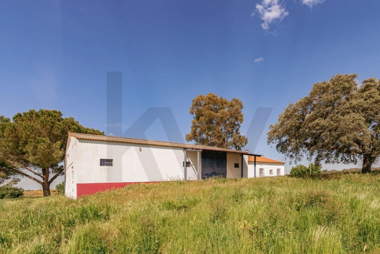 Quinta T3 para Venda em Viana do Alentejo Foto 160