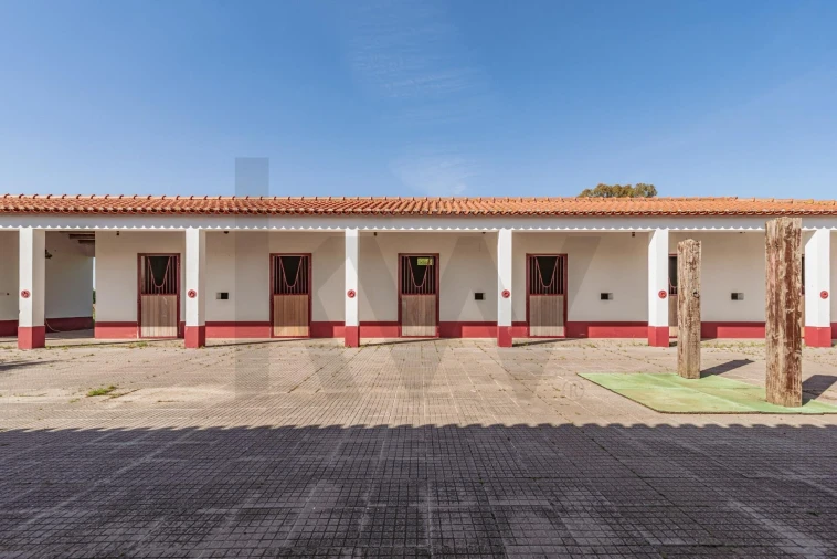 Quinta T3 para Venda em Viana do Alentejo Foto 168