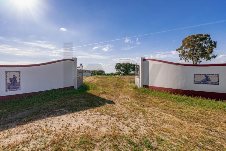 Quinta T3 para Venda em Viana do Alentejo Foto 2