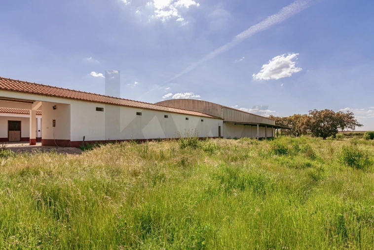 Quinta T3 para Venda em Viana do Alentejo Foto 90