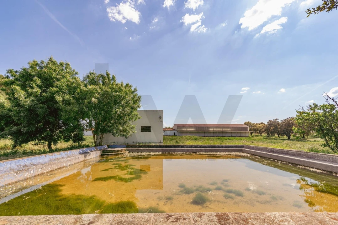 Quinta T3 para Venda em Viana do Alentejo Foto 93