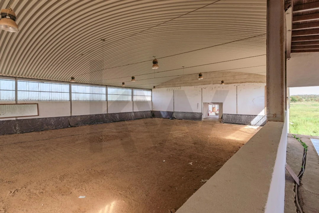 Quinta T3 para Venda em Viana do Alentejo Foto 74