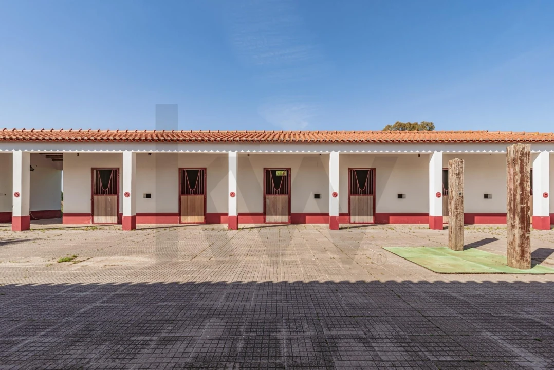 Quinta T3 para Venda em Viana do Alentejo Foto 85