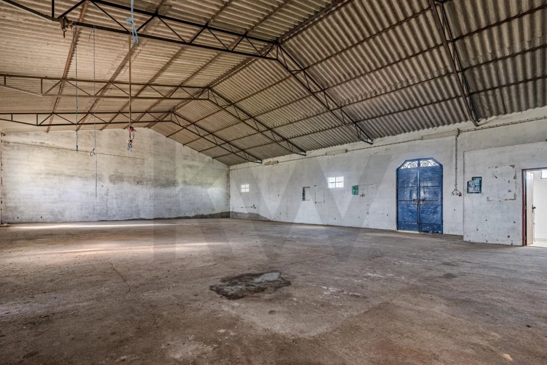 Quinta T3 para Venda em Viana do Alentejo Foto 106